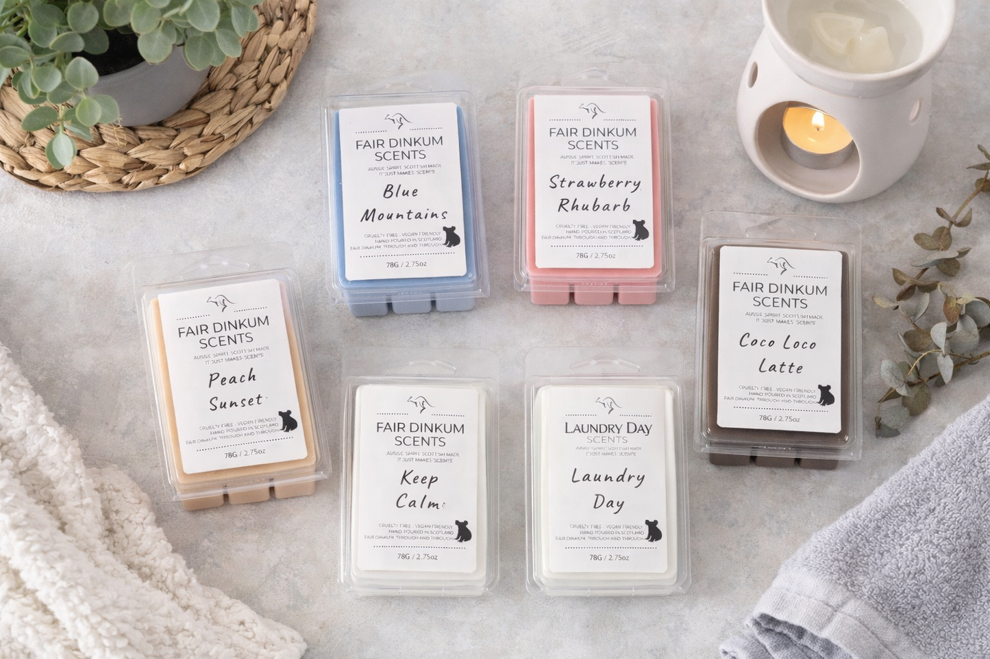 Wax Melt Discovery Box - 6 Bestselling Scents